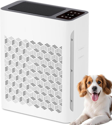 Air Purifier for Home Large Room (1095 Sq Ft) with Cycle Timer, H13 True HEPA Filter & Sleep Mode