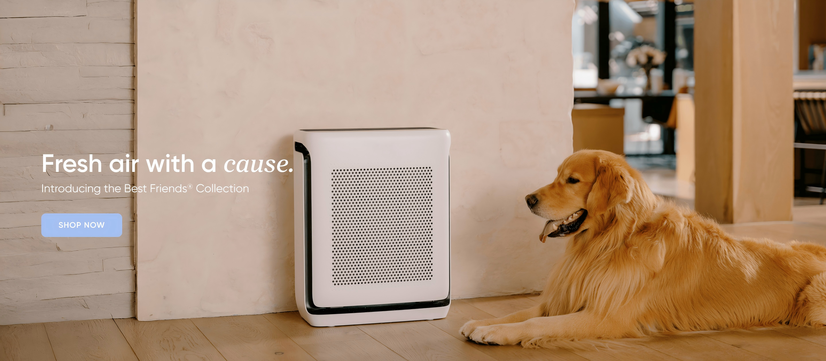 slider image slider_item_jiViLQ